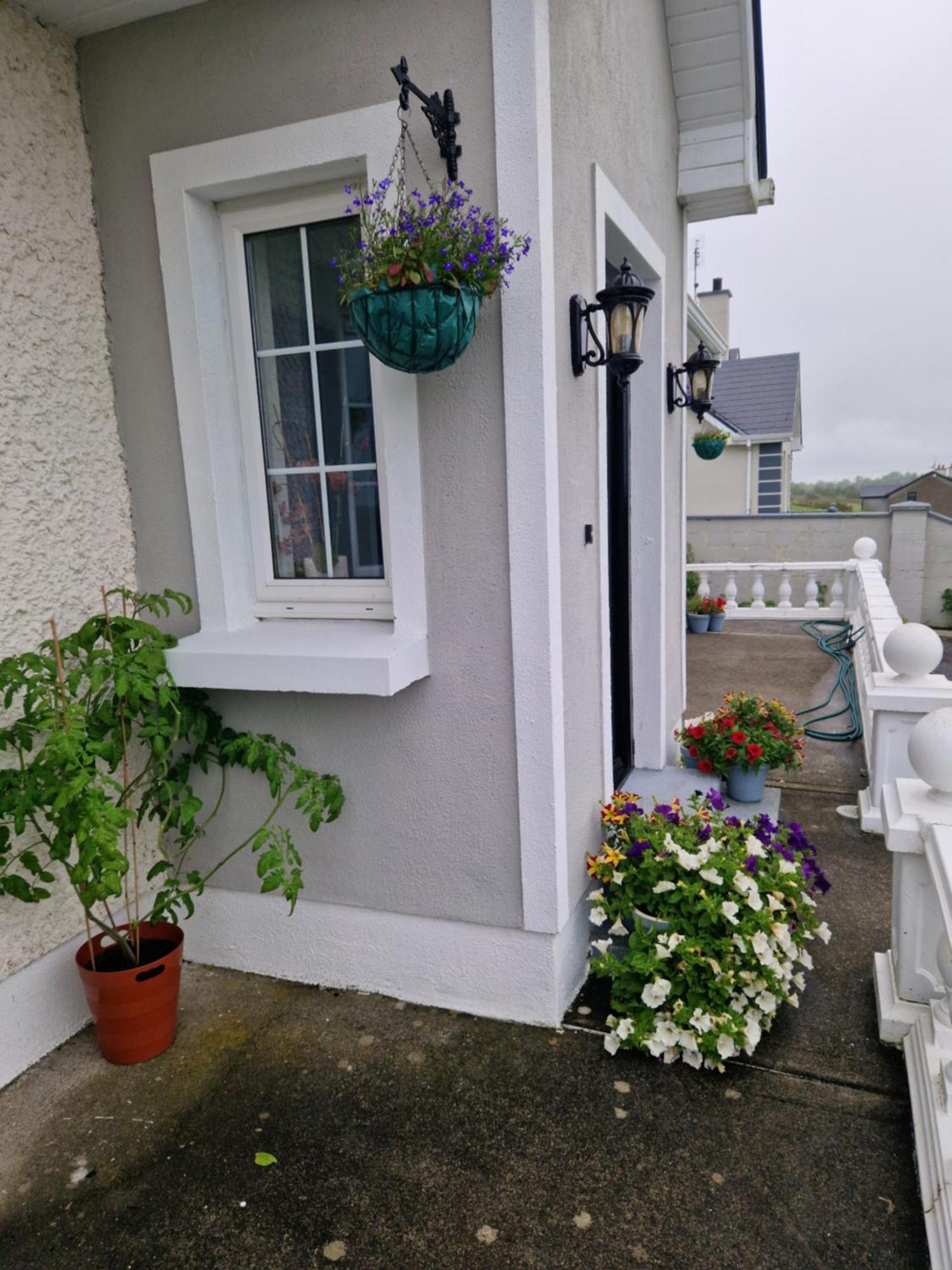 Forest View Dunmore Galway H54P897 Bed & Breakfast Exterior photo